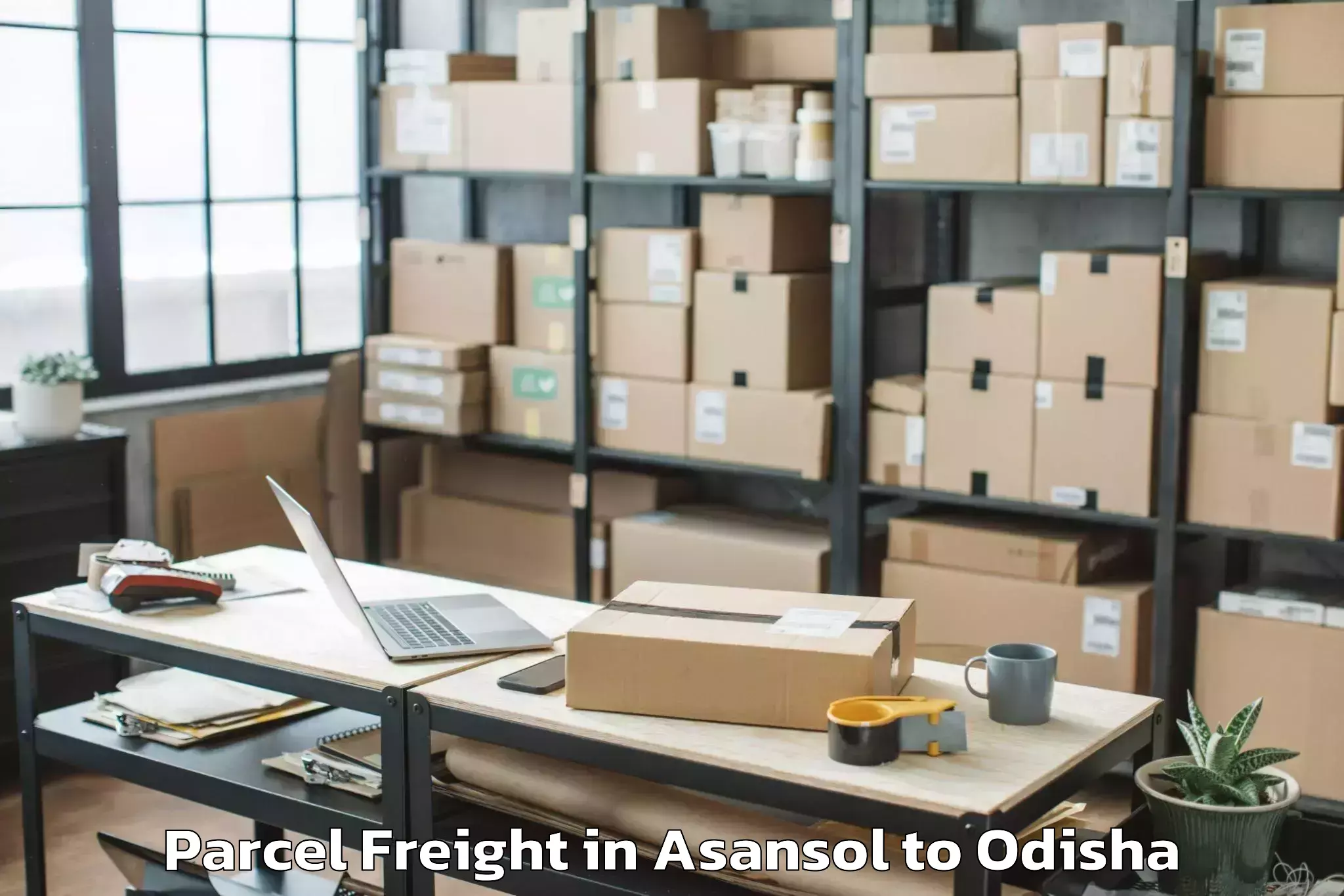 Reliable Asansol to National Law University Odisha Parcel Freight